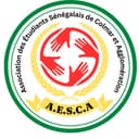 Association des Étudiants Sénégalais de Colmar et Agglomération - AESCA