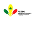 Association des Étudiants et Stagiaires Sénégalais d'Orléans - AESSO